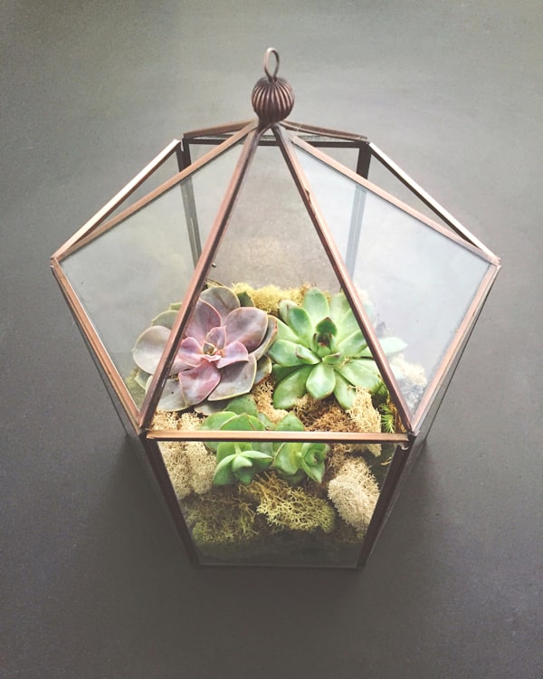 Vaso Grande Decorativo para Jardim de Entrada