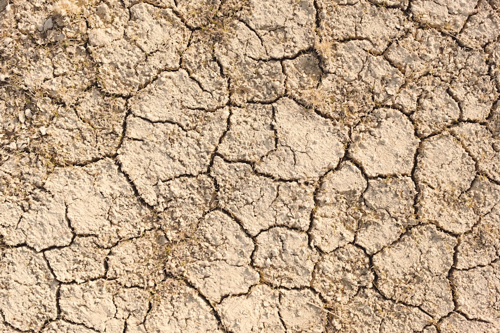 a close up of a cracked surface of dirt