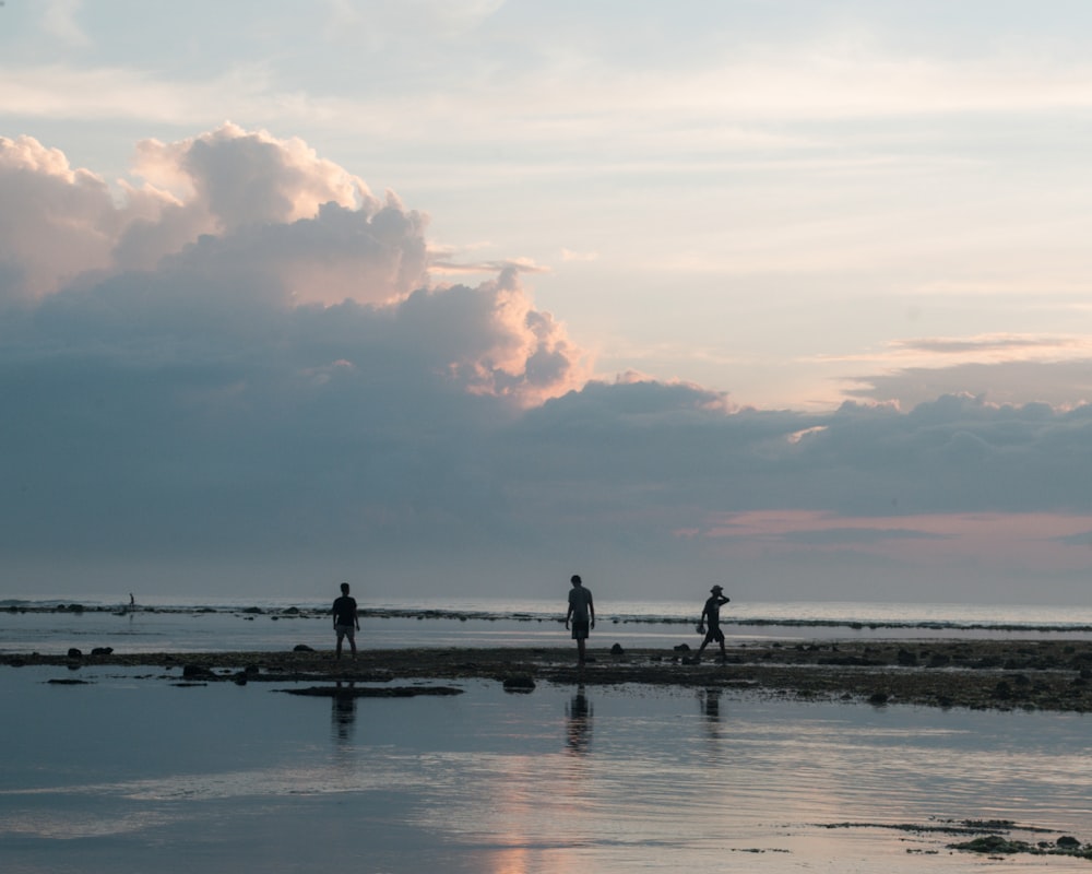 Persone in piedi sulla spiaggia durante il tramonto