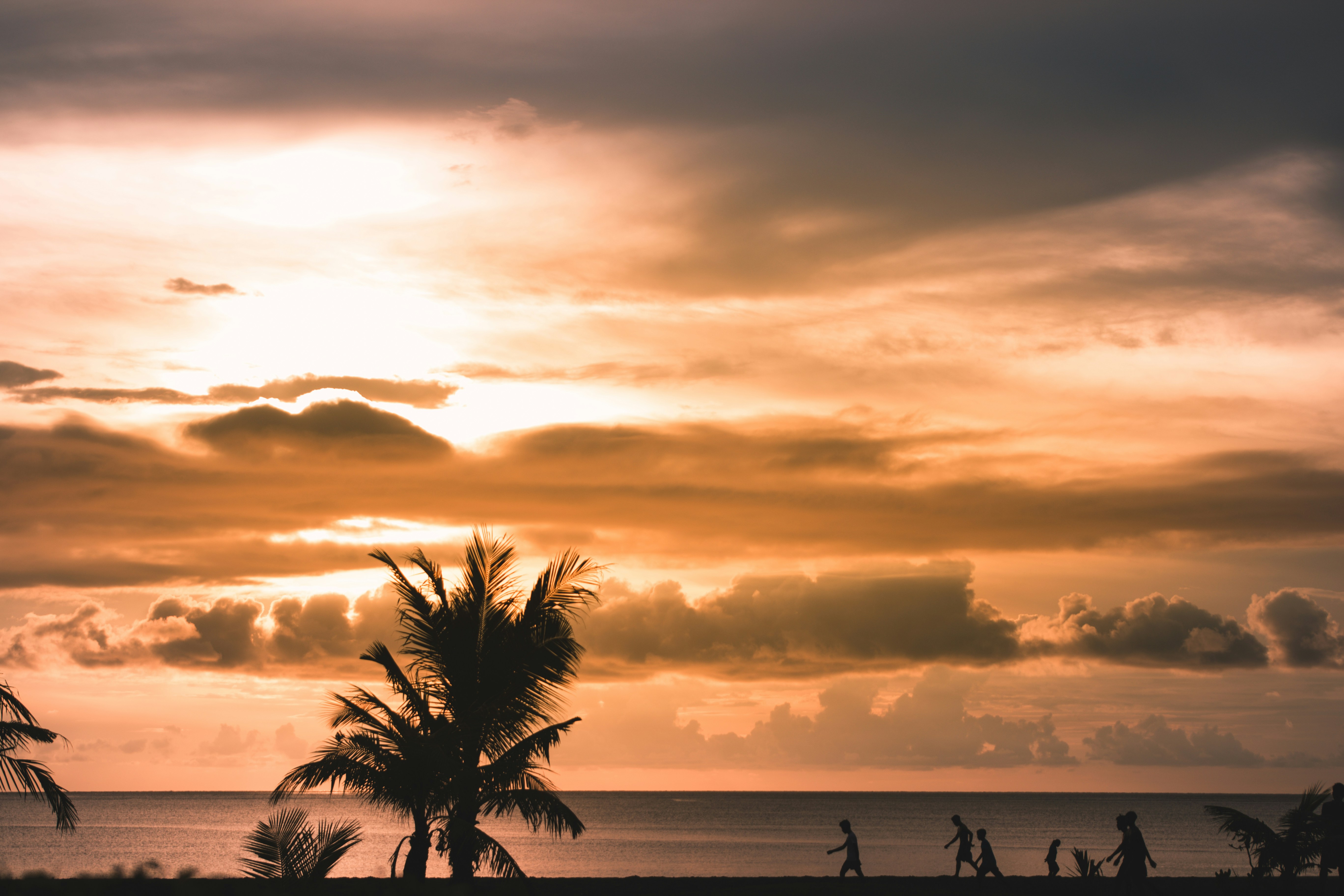 Photo by pestrellado