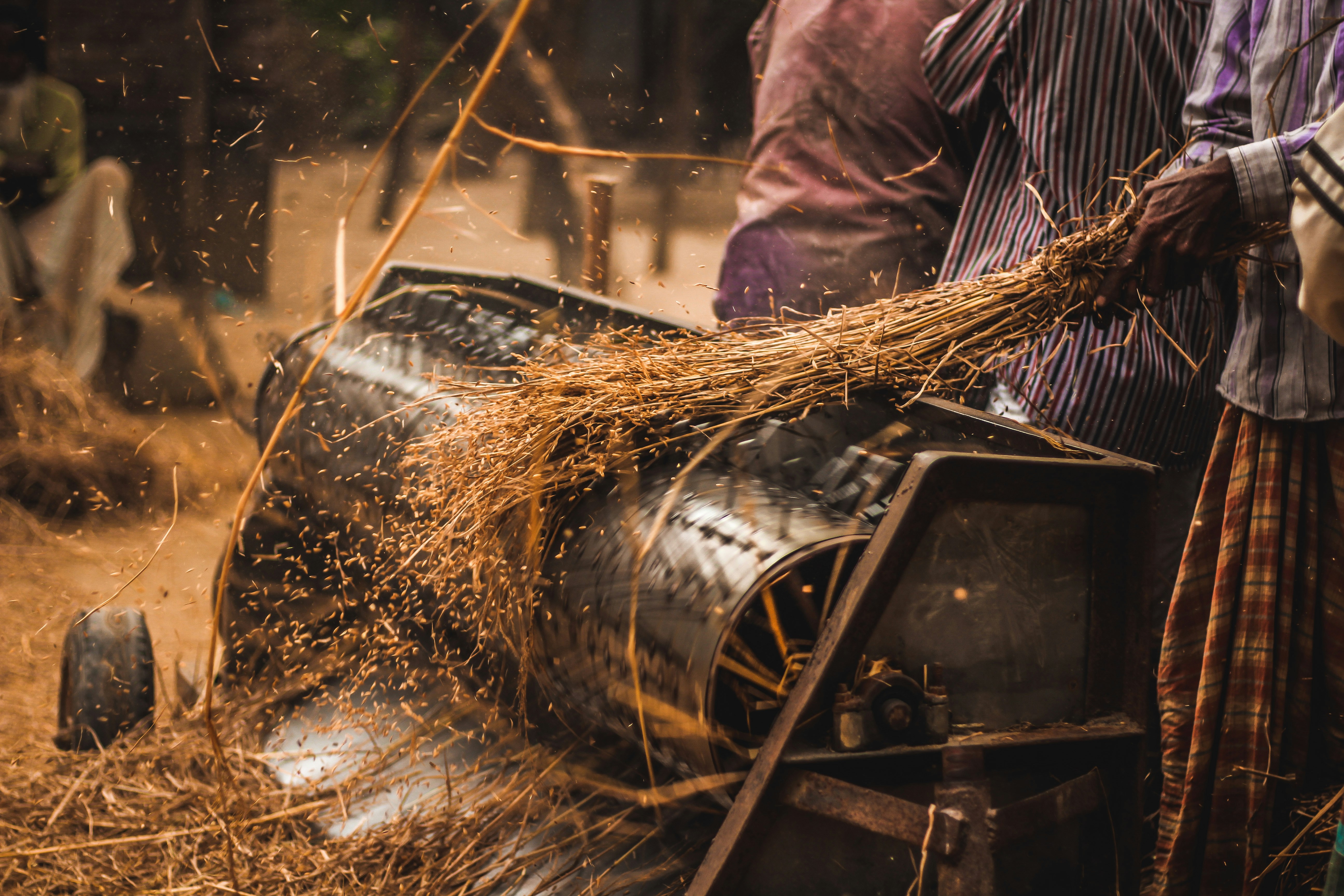 Photo by _pera_nai_chill