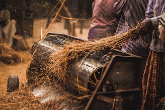 Workers operating machinery in an agricultural processing factory