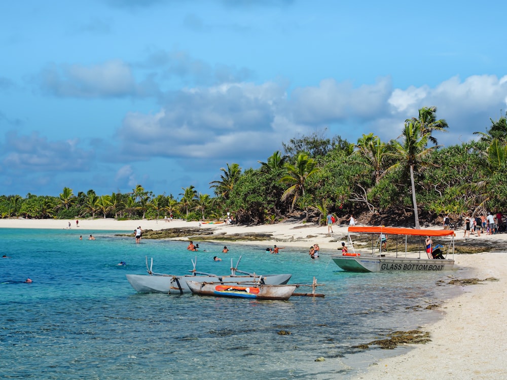 white and red boat on beach during daytime