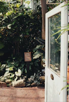 A sunlit doorway framed by lush green plants, symbolizing growth and renewal.