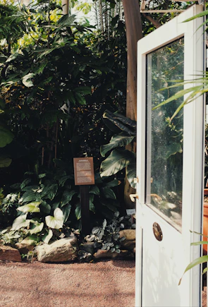 A sunlit doorway framed by lush green plants, symbolizing growth and renewal.