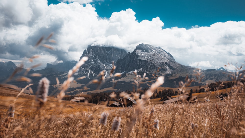 brown grass field near mountain under blue sky during daytime