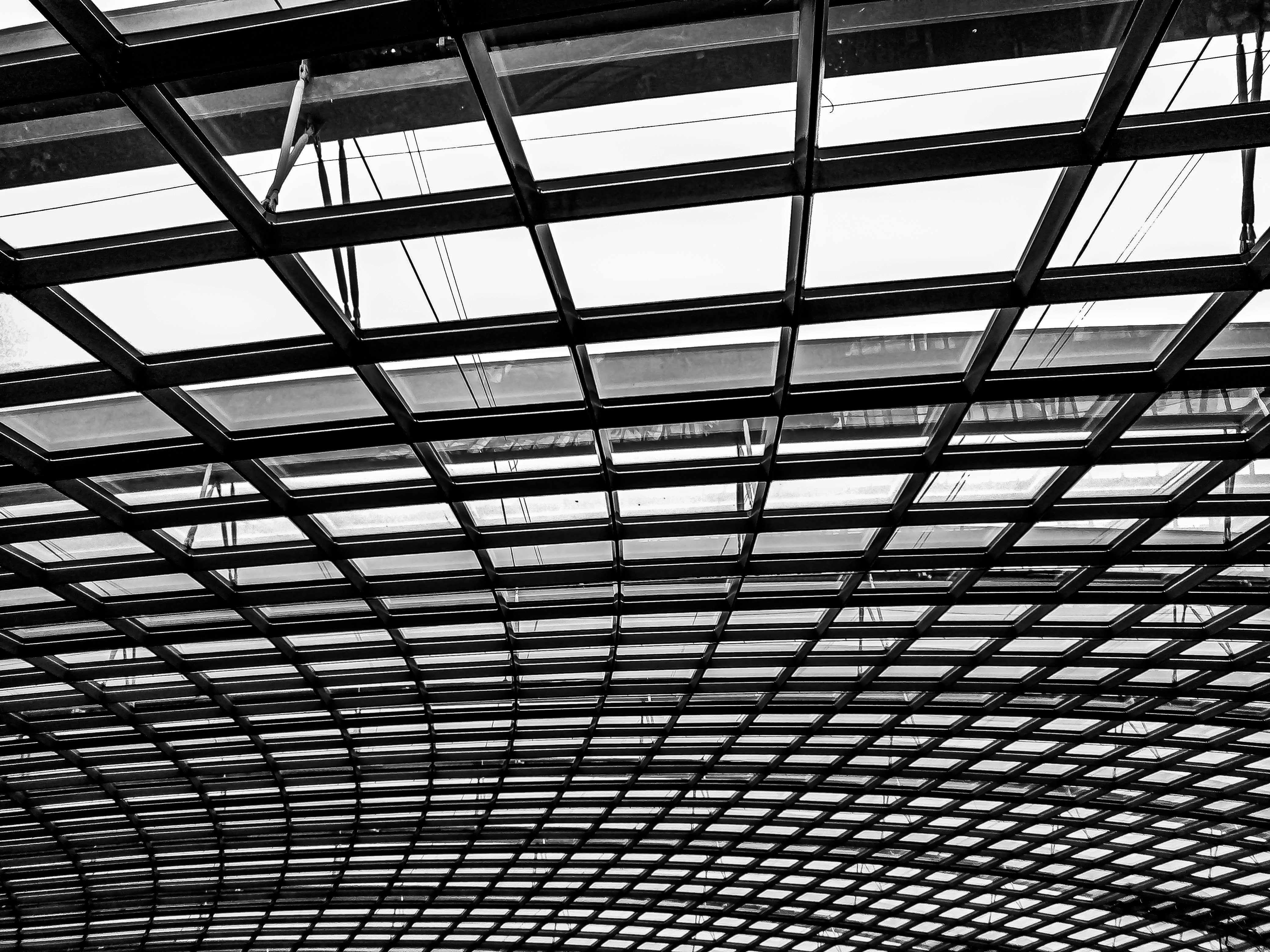 Photo by louie_navarro