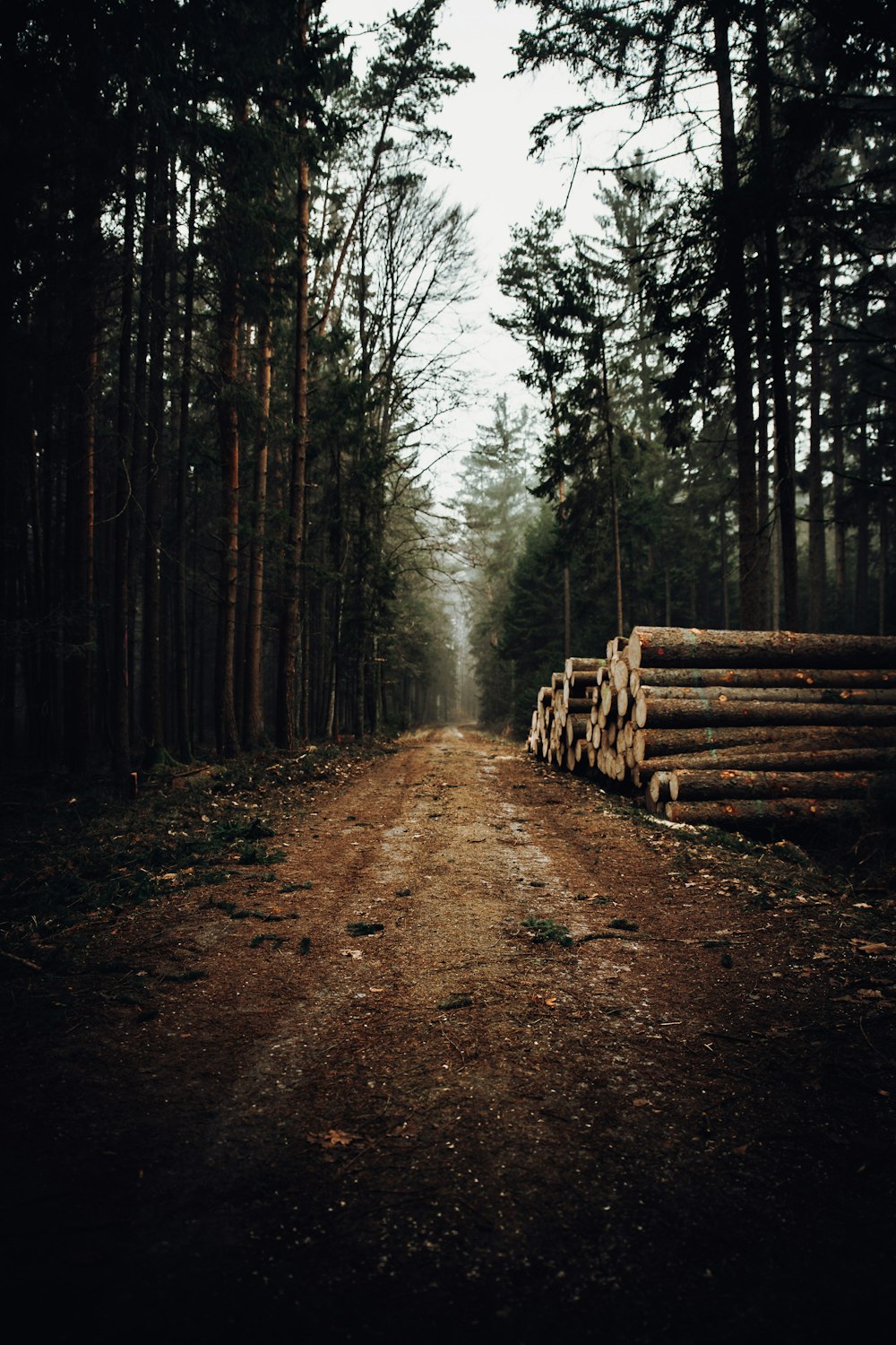 clôture en bois marron sur un chemin de terre brun