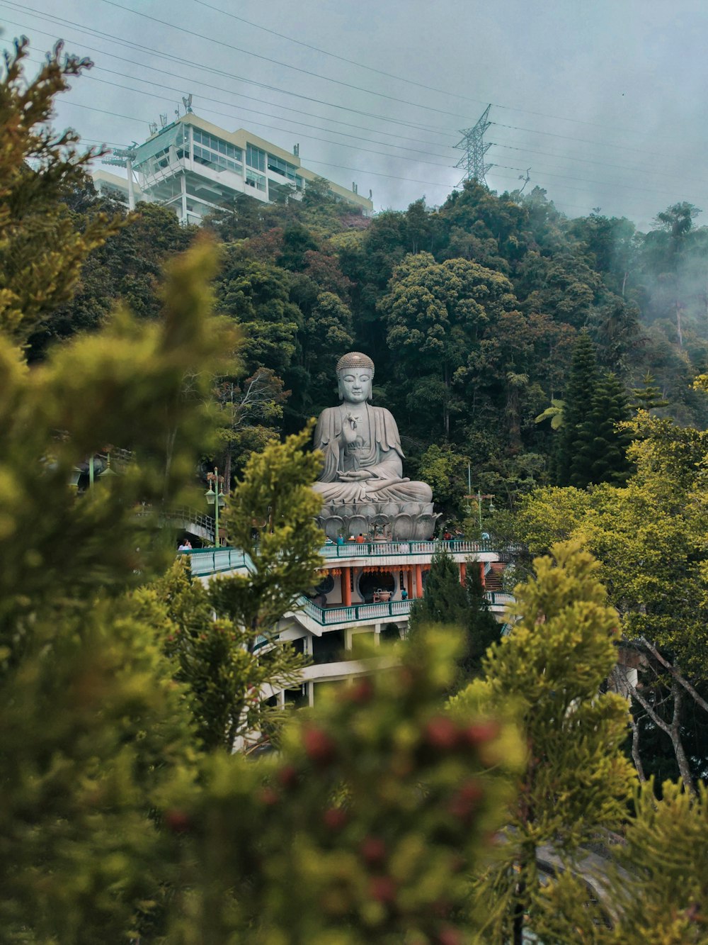 a large buddha statue sitting on top of a lush green hillside