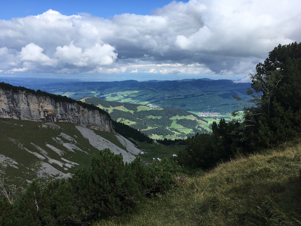 a scenic view of a valley with mountains in the background