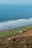 A serene coastal landscape with gentle waves rolling onto a sandy shoreline. A small, isolated farmhouse with several outbuildings sits on lush green fields near the coast. The scene is bordered by a gently sloping hill covered in brown and green vegetation.