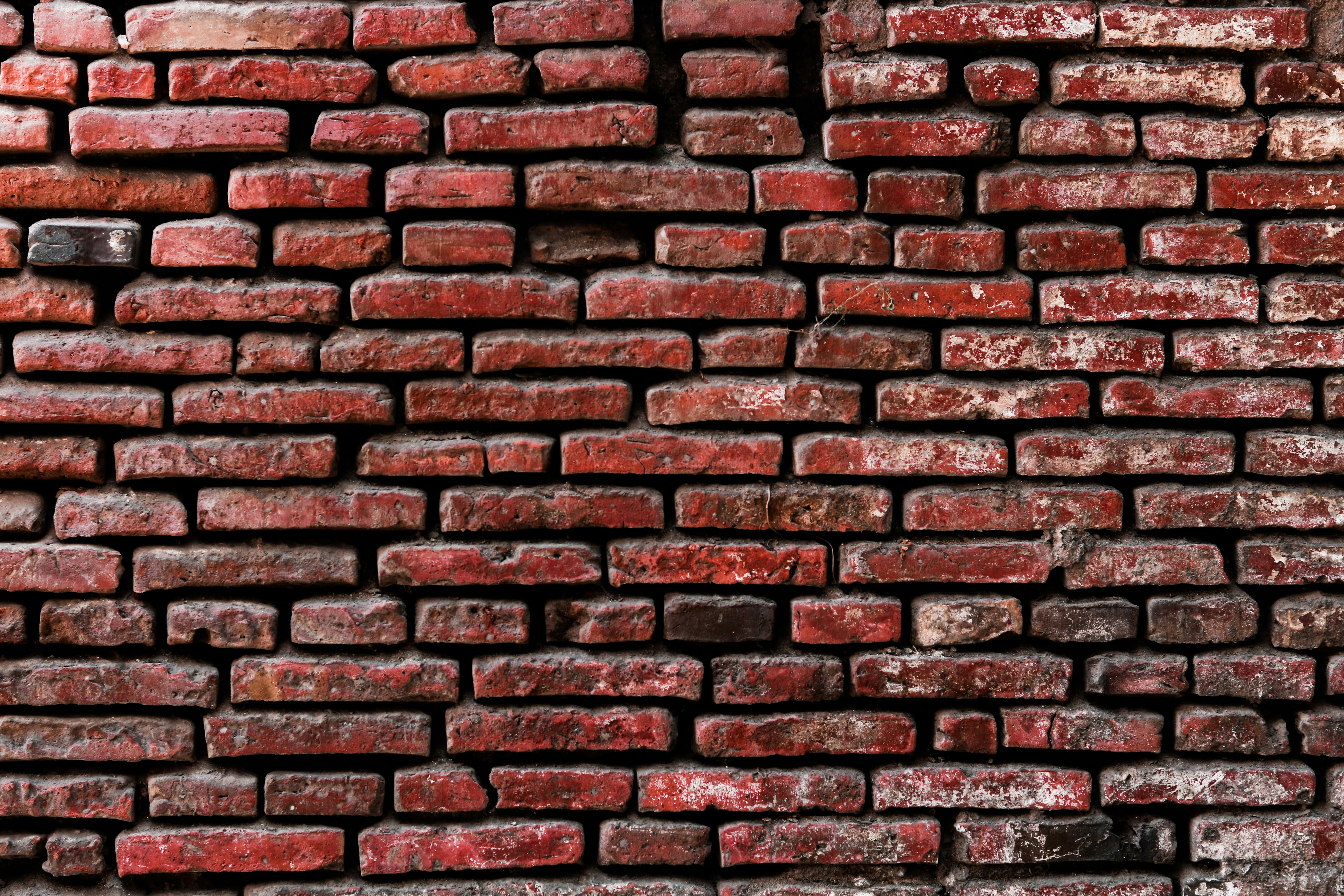 A close up of a brick wall made of red bricks photo Free Wall Image