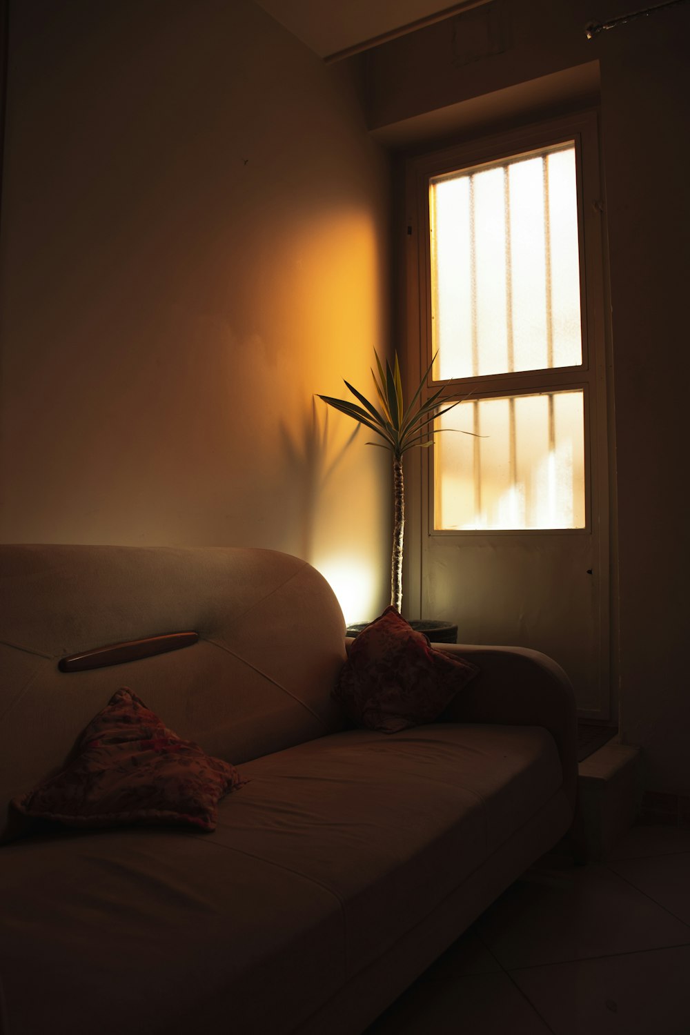 a living room with a white couch and a potted plant