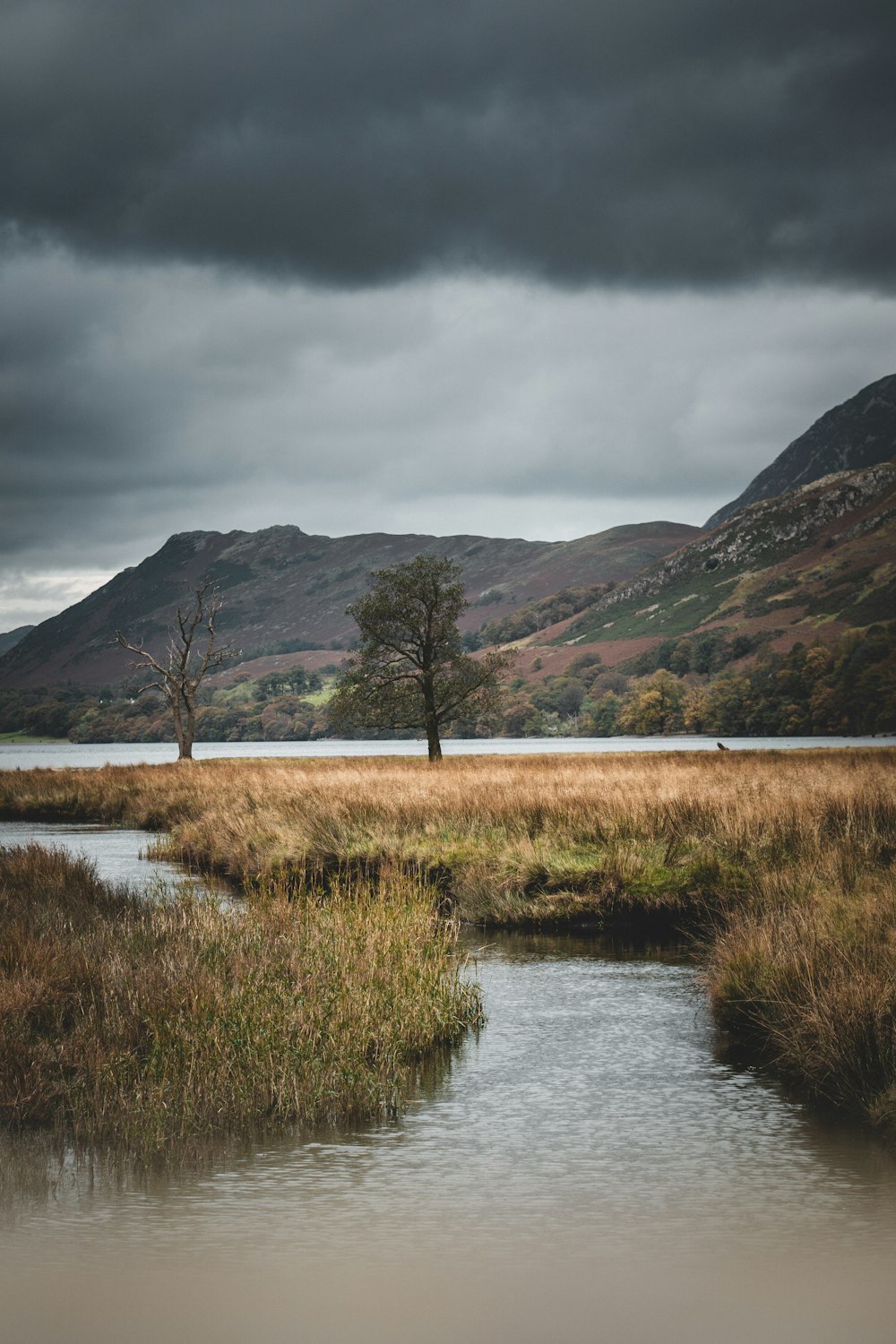 a river running through a lush green field under a cloudy sky