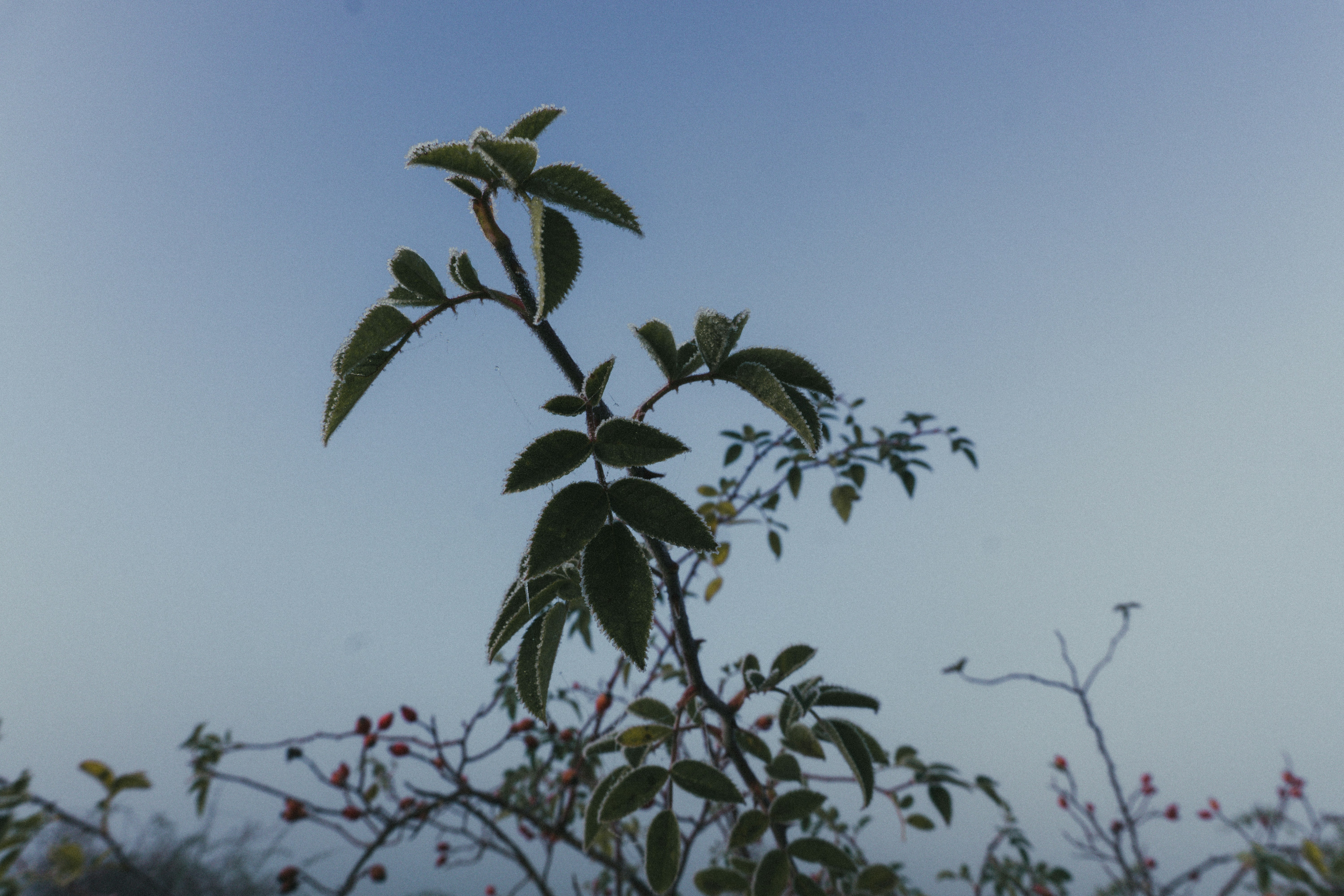 Photo by marinareich