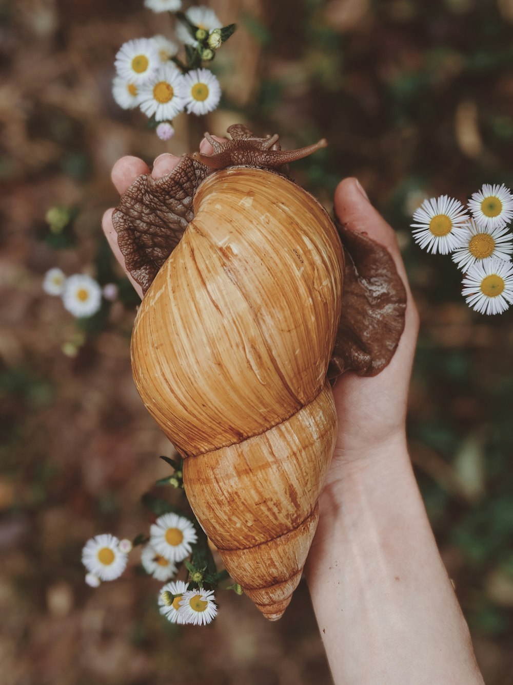 a person holding a snail in their hand