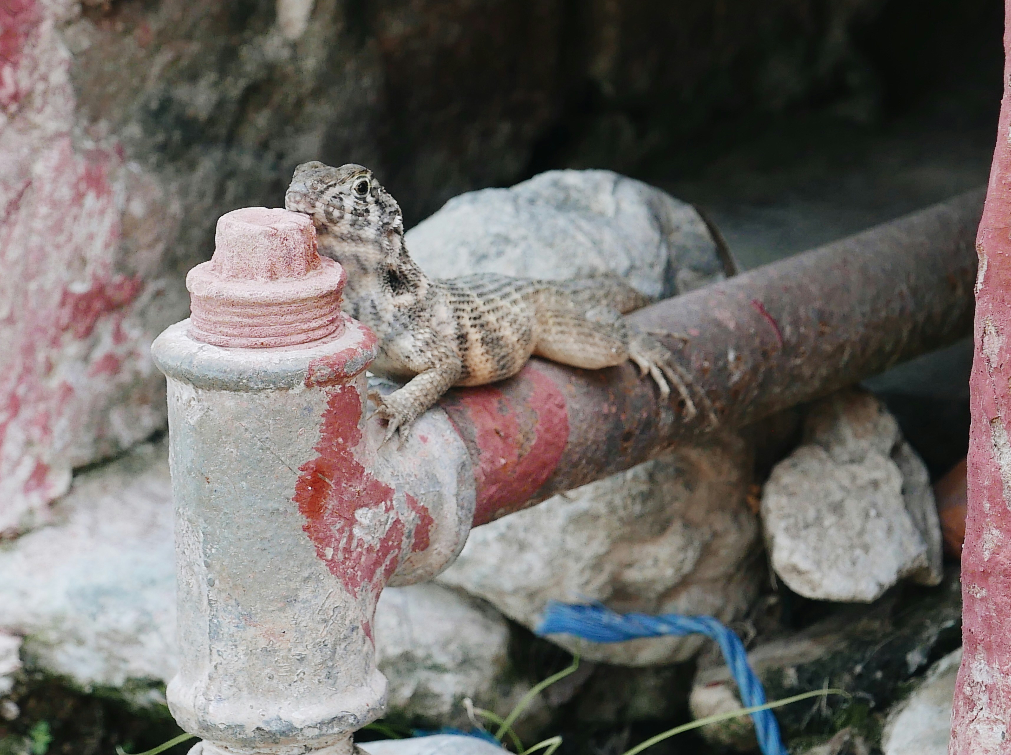 Trinidad – Final Summary