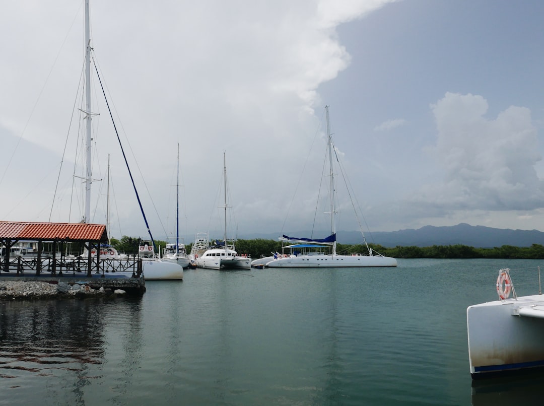a group of boats that are sitting in the water,