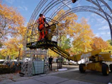 Worker safely using climbing gear to prune tall trees in a park near Bordeaux