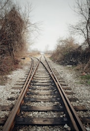 brown metal train rail between bare trees during daytime