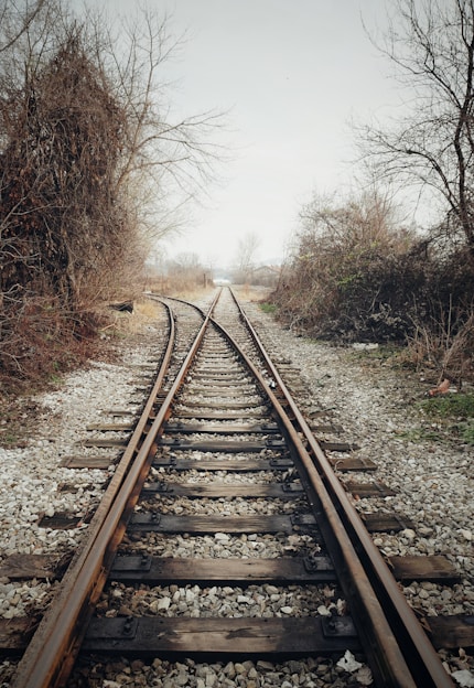 brown metal train rail between bare trees during daytime
