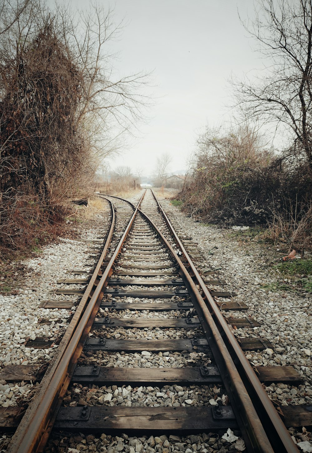 brown metal train rail between bare trees during daytime