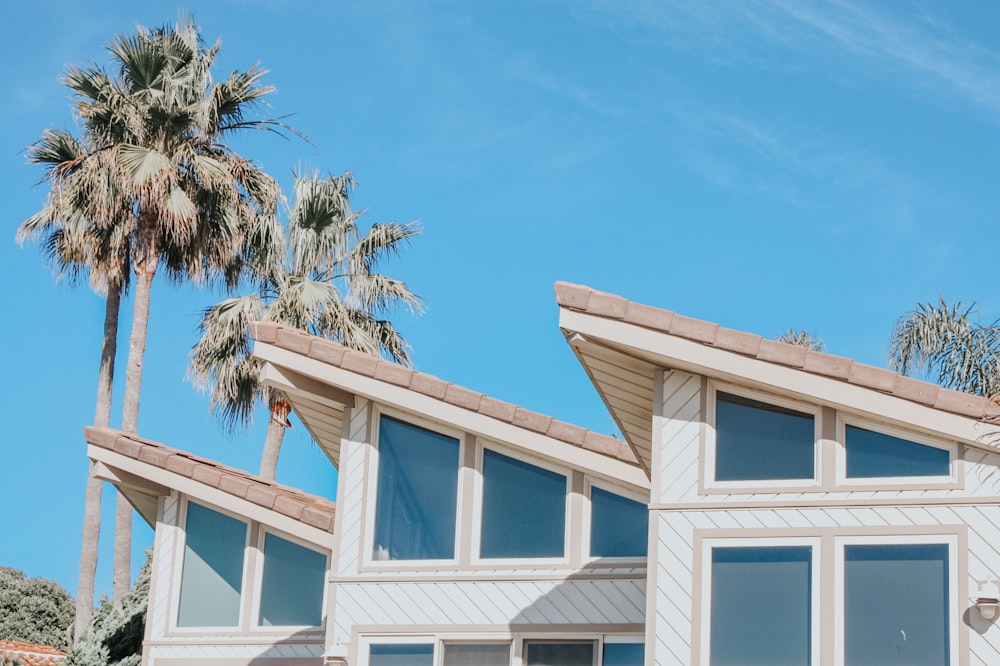 a row of houses with palm trees in the background