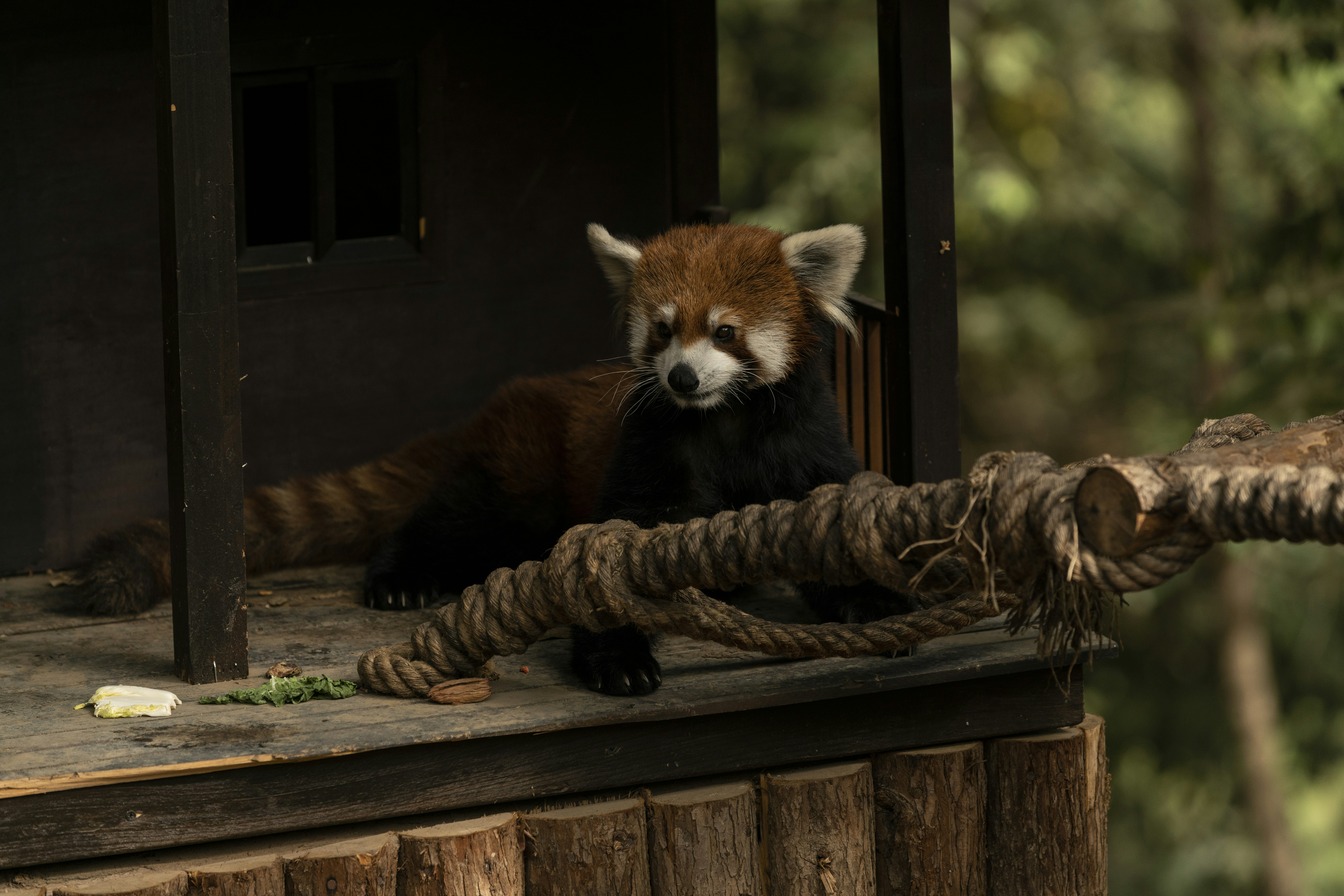 Kunming – Food & Dining Culture