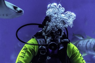 a scuba diver in a yellow wetsuit and a shark