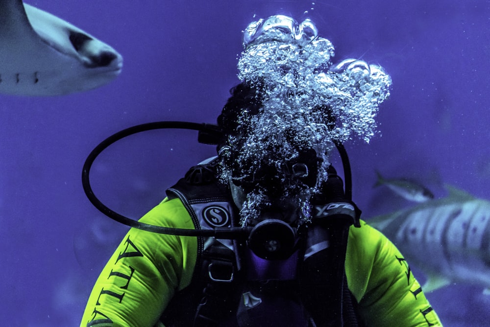 a scuba diver in a yellow wetsuit and a shark