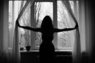 Serene Solutions Domestic Violence