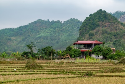 A house with a red roof is situated in a rural setting, surrounded by lush green trees and expansive agricultural fields. In the background, there are rolling hills covered in dense vegetation under a cloudy sky.