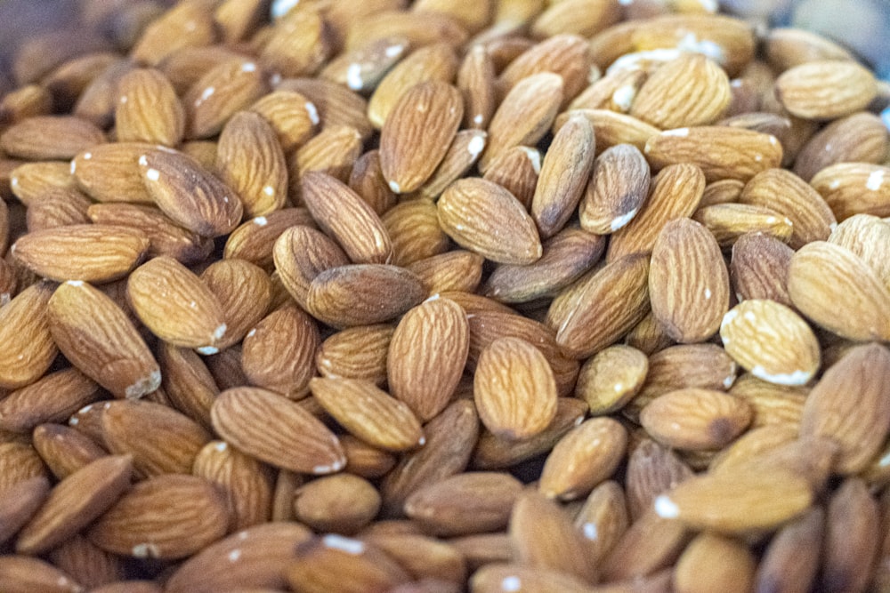 brown almond nuts in close up photography