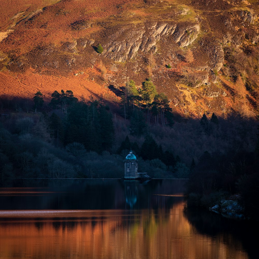 green and brown house on lake