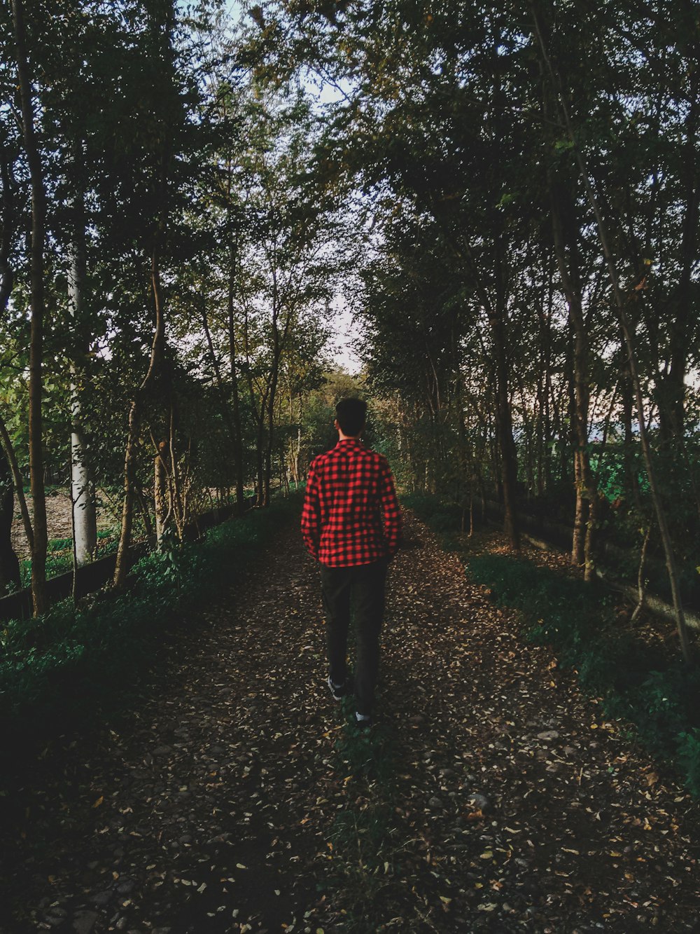 man in red and black plaid dress shirt walking on pathway in between trees during daytime