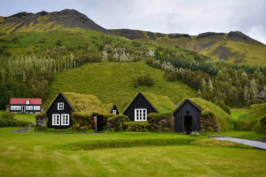 brown and black house on green grass field near green mountain under white clouds during daytime in Museum of Skógar Iceland