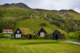 Traditional turf houses are nestled in a lush green landscape surrounded by hills and trees. The houses have grassy roofs that blend with the environment, and there is a small, white-framed house with a red roof in the background. The sky is overcast, giving a subdued tone to the scenery.
