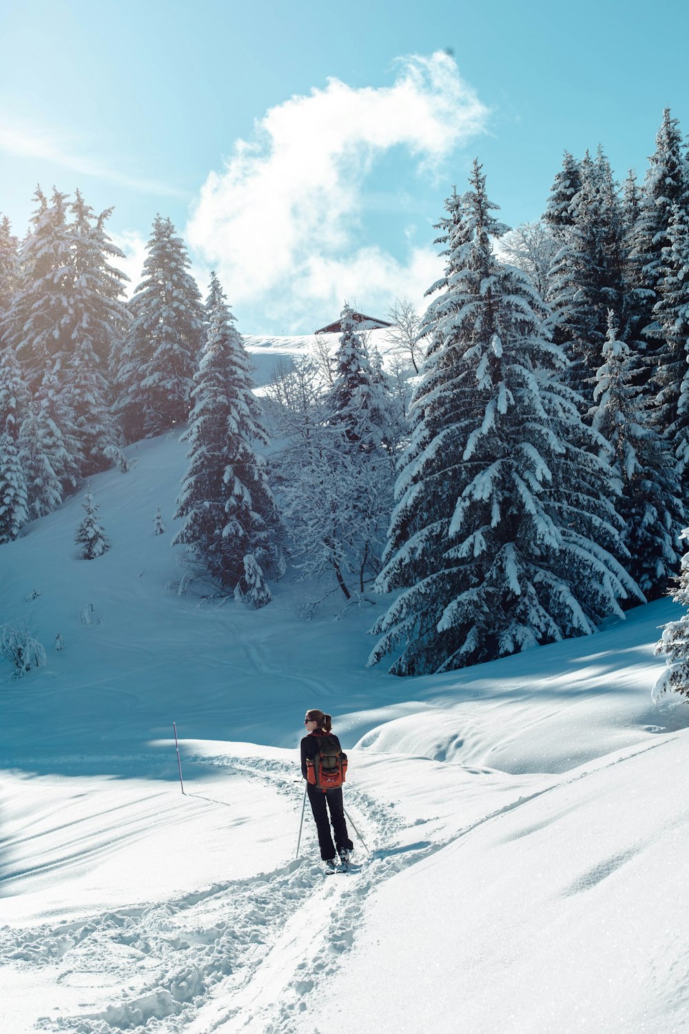 Person in roter Jacke und schwarzer Hose, die auf schneebedecktem Boden in der Nähe von schneebedeckten Bäumen steht