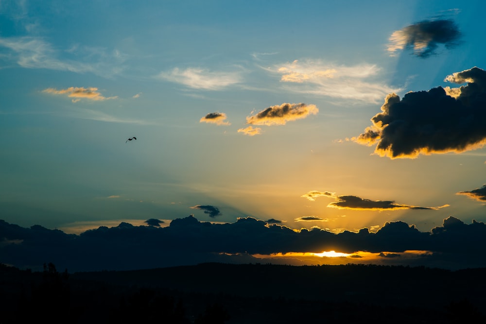 birds flying over the clouds during sunset