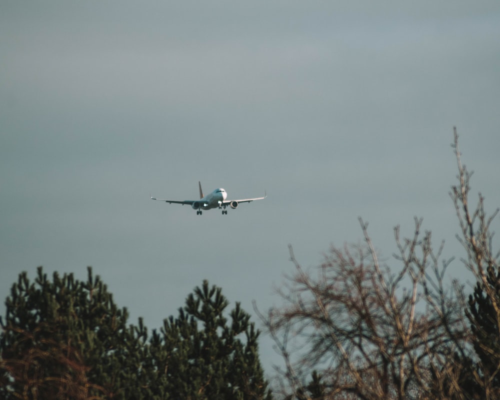 white airplane flying over green trees during daytime