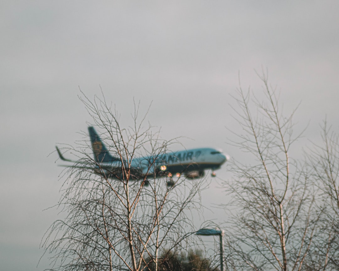 blue and white airplane on brown leafless tree under gray sky