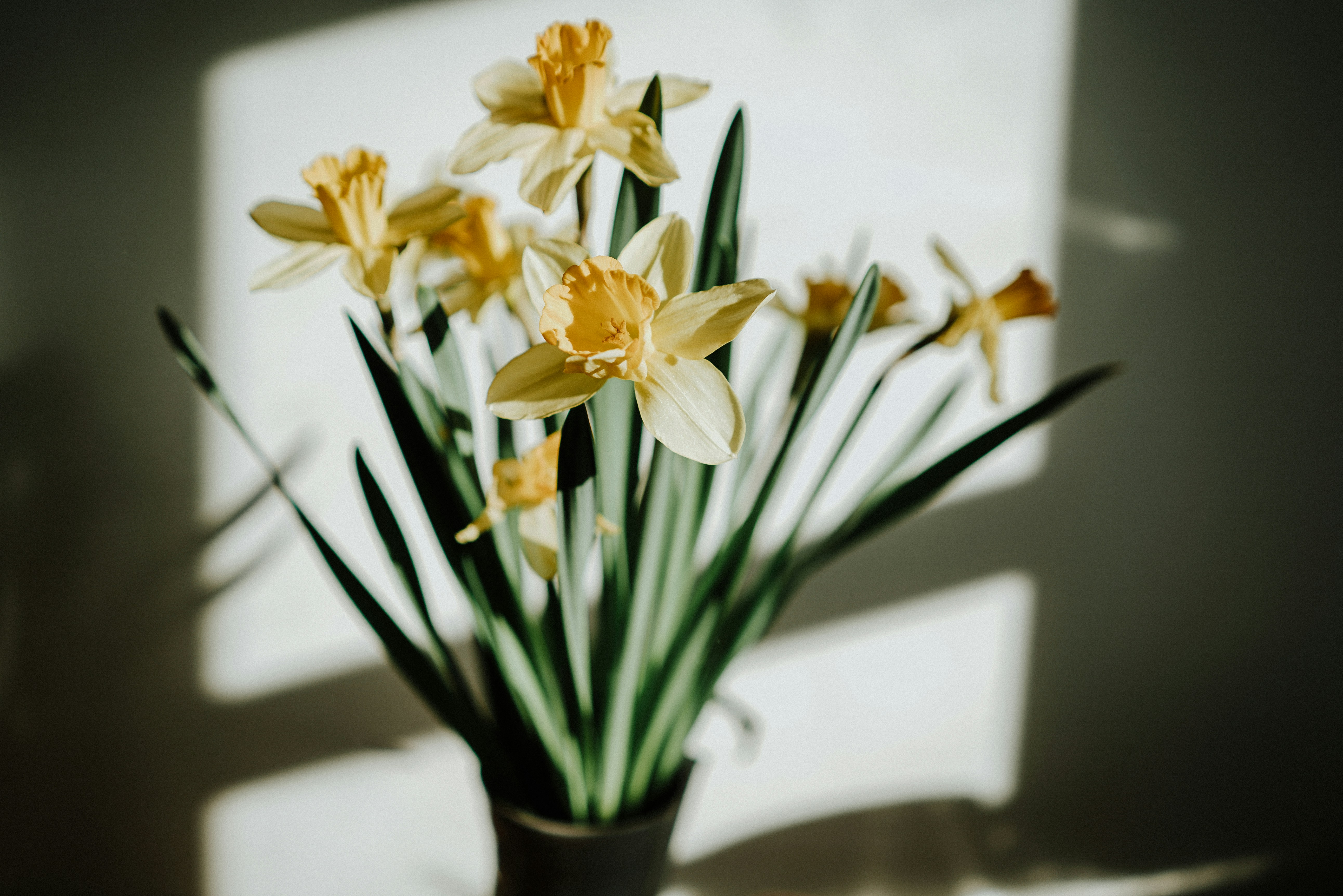 Photo by philhearing