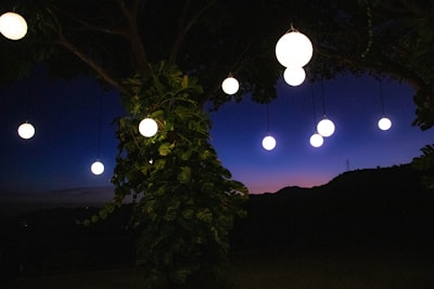 Outdoor lanterns softly lighting a garden patio under the evening sky.