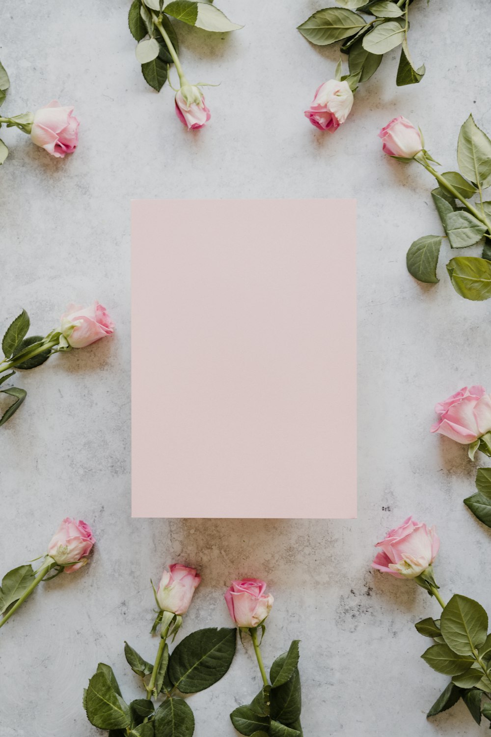 ein Blatt Papier, umgeben von rosa Rosen