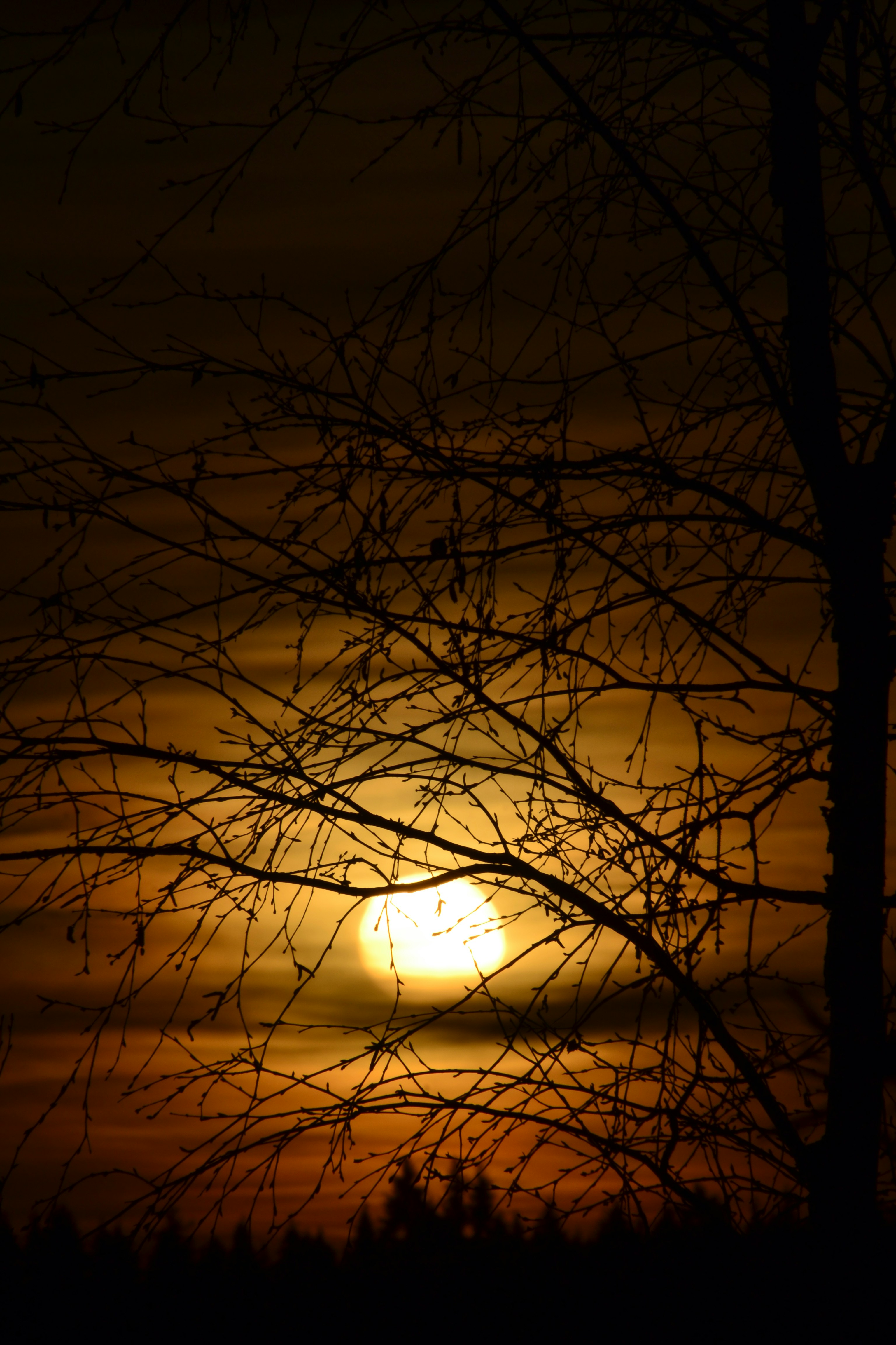 Photo by annikakutsar