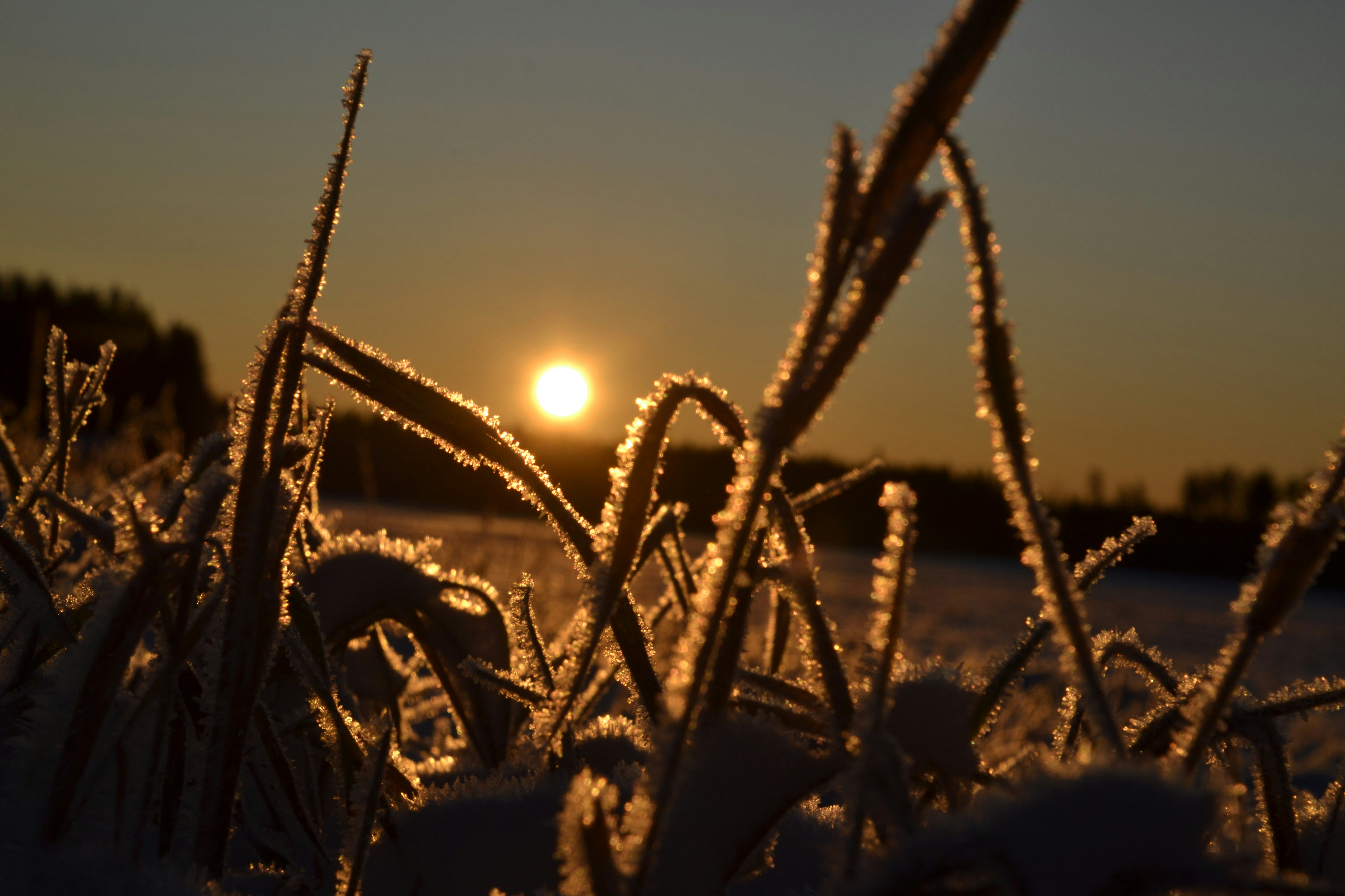 Photo by annikakutsar