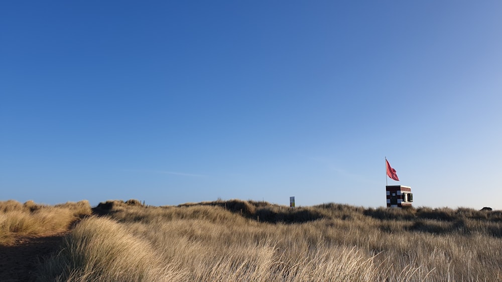 brown grass field under blue sky during daytime