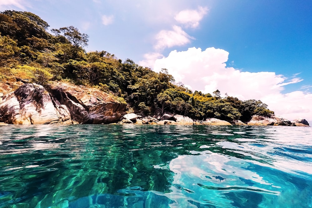 green trees beside blue body of water under blue sky during daytime