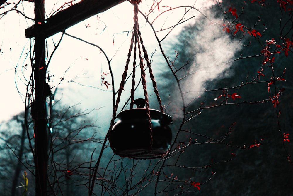 lampada a sospensione nera sull'albero nudo durante il giorno