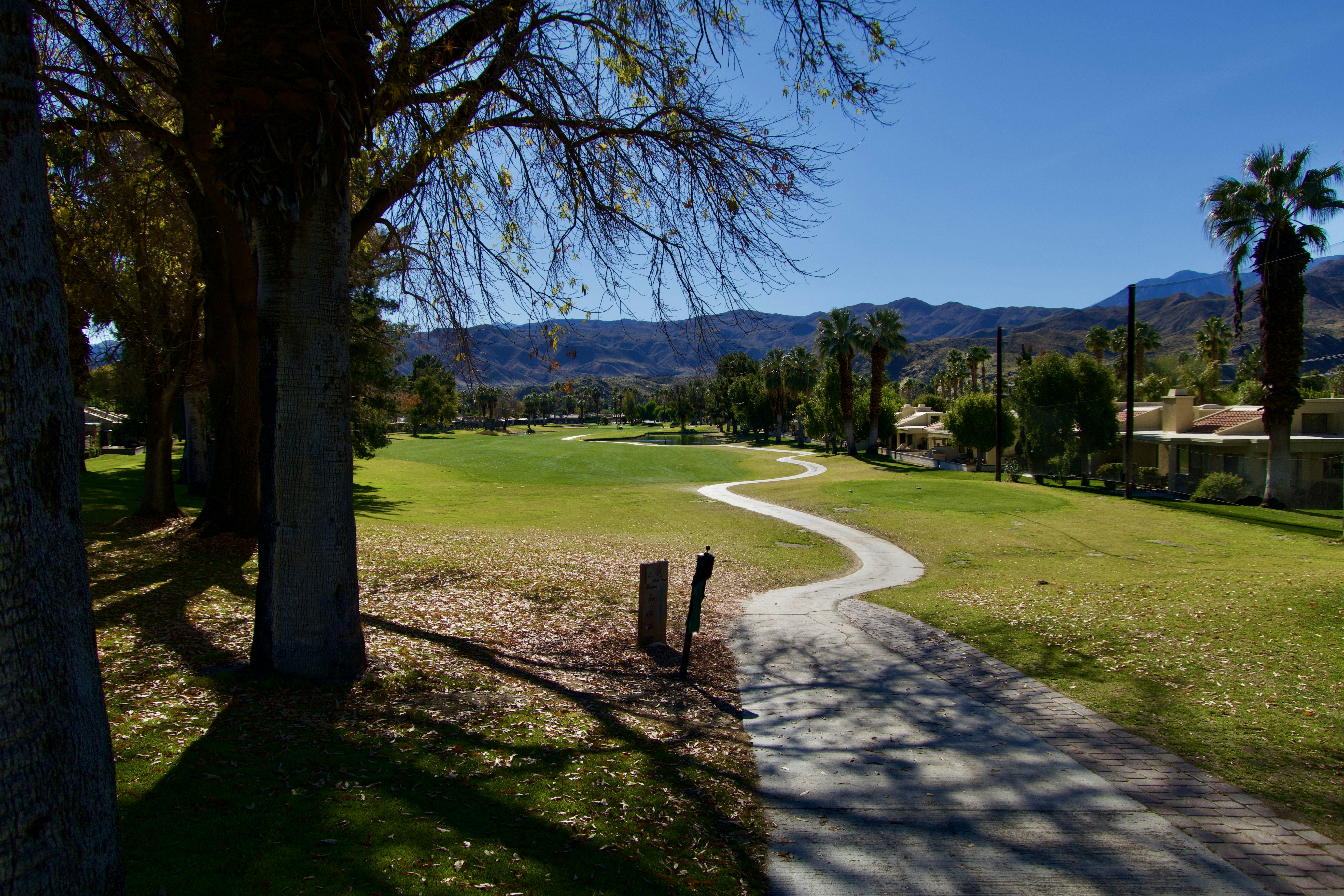 Photo by palmspringsdon